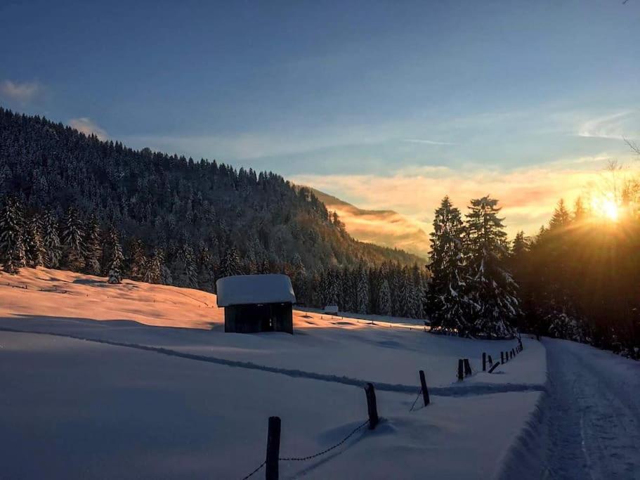 Neu - Ferienhaus Moritz & Josie Zur Alleinnutzung Ohlstadt Bagian luar foto